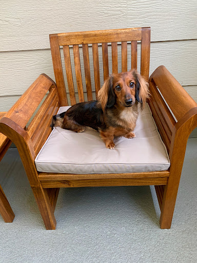 Hawaiian Discovery Furniture Gallery - United States