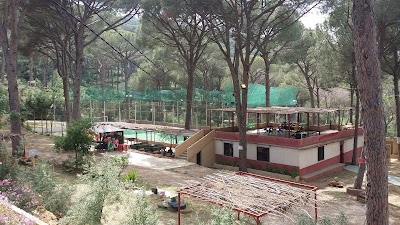 Photos of Lamartine park منتزه لامارتين