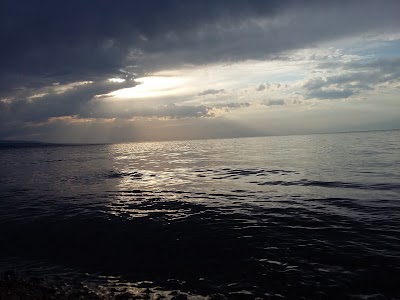 Photos of Altyn Zheek Resort