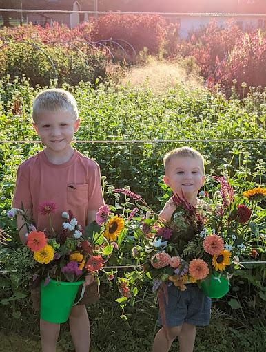 Wildroot Flower Co. - Visual