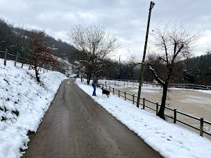 Photo n°40 de Poney Club de Barny à Beauvallon (Centre équestre)