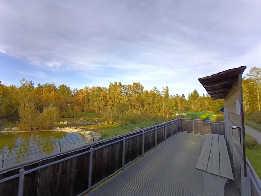 Aussichtsplattform / Gnadenhof für Bären - Thumbnail