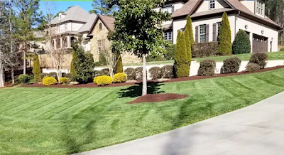 Martinez Landscaping & Hardscape LLC