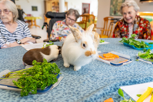 Photo de EMERA - EHPAD Soleil à Bretteville (50110)