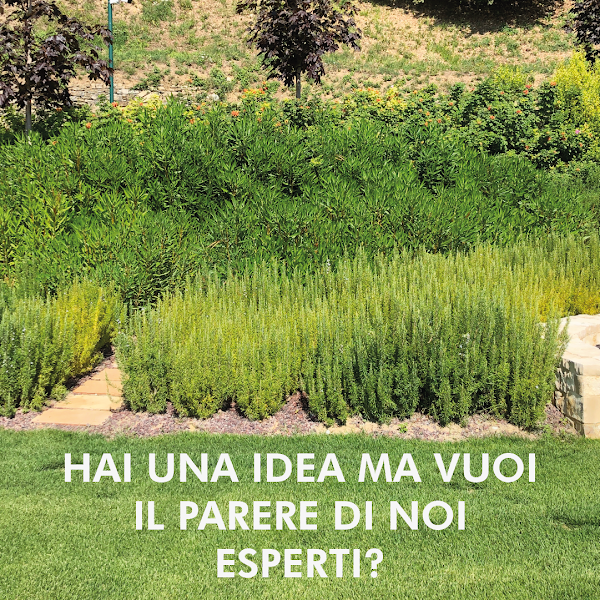 Progetto Giardini Online photo