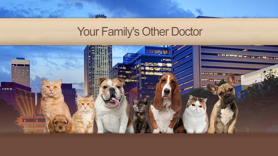 Omaha Animal Medical Group photo