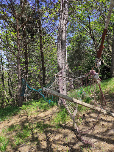 parco dell'orsetto - Thumbnail