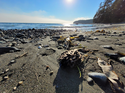 China Beach Campground - Thumbnail