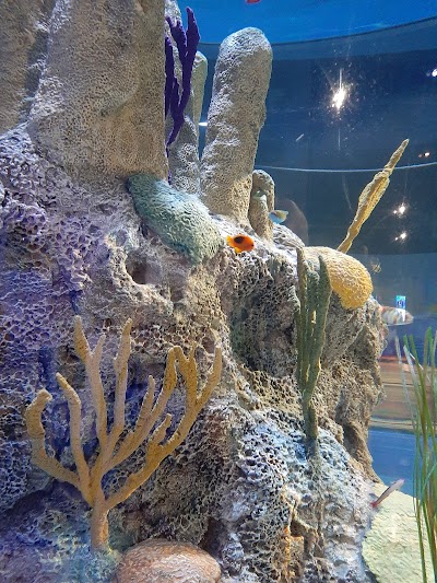 Living Shores Aquarium