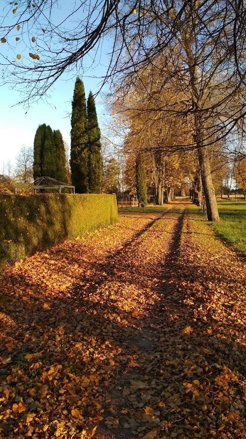 Agrotourism &quot;Old Homestead&quot;