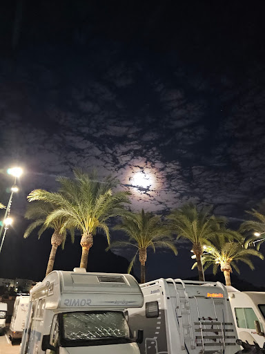 Aparcamiento Plaza de las Palmeras - Spain
