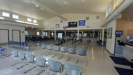 Springfield DMV - Visual