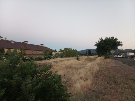 The Great Redwood Trail - South End - Thumbnail