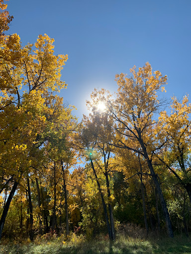 Coal Creek Trail - Lafayette, CO - Thumbnail