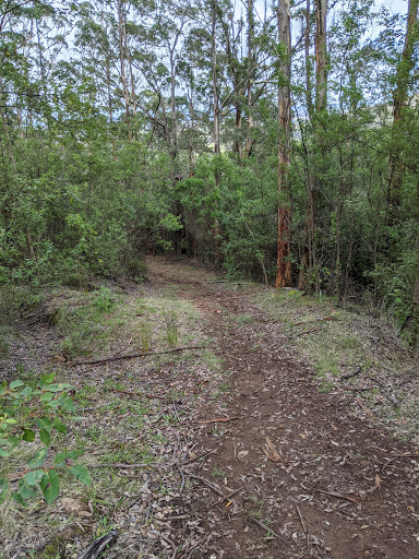 Waddy's Hut Gallery - Australia