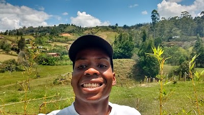 Photos of Magis Guarne