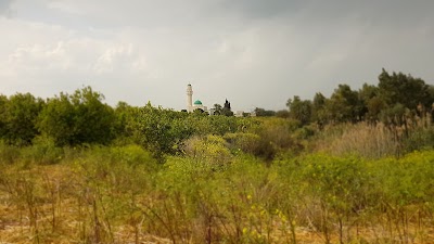 Photos of مسجد سيدنا شرحبيل بن حسنة