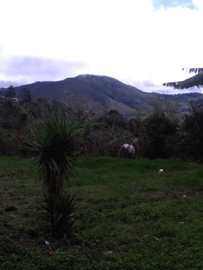 Photos of Plaza de El Rodeo