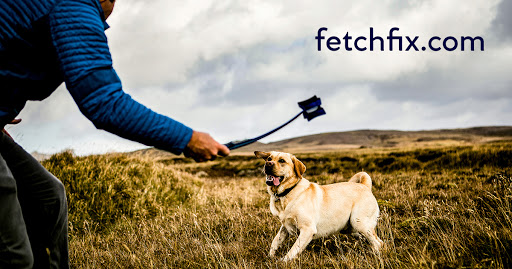Fetchfix - Visual