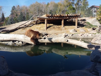 Photos of Utah's Hogle Zoo