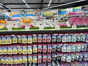 Photo n°21 de Cash Piscines à Trans-en-Provence (Service de réparation de piscines)