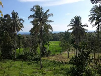 Photos of Bukit Sirih Mountain View