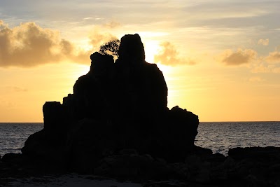Photos of Castaway Island Fiji