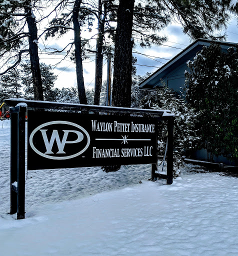 Waylon Pettet Insurance and Financial Services, LLC - Thumbnail