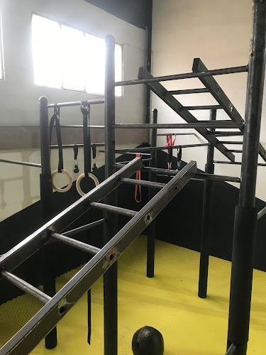 Comentarii opinii despre Warrior Camp