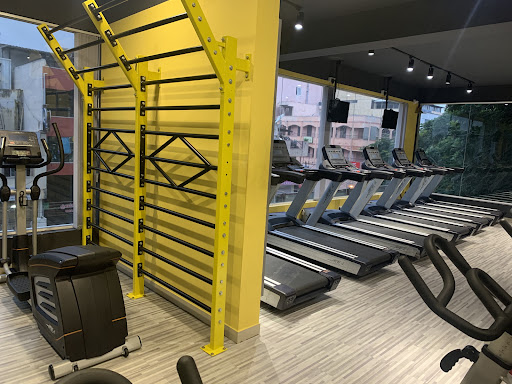 Gallery image 12