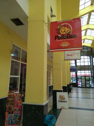 Pollobus - Visual