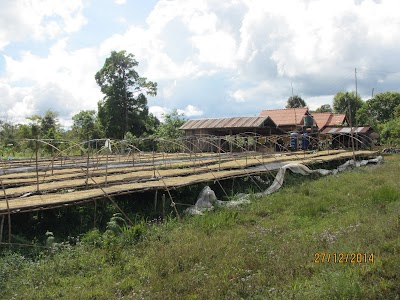 Photos of Bolaven Plateau