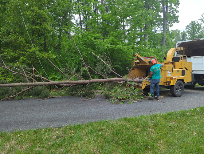 Zach's Tree service, LLC