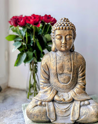 Photo n°2 de OSHO Centre de méditation Foix, Ariège, France à Foix (Programme de bien-être)