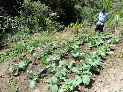Photos of Masherere village Farm, Taita Taveta