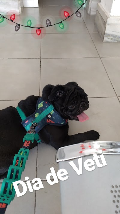 veterinary-care