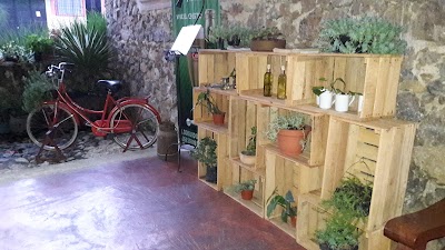 Photos of Sedano`s Steakhouse