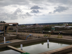 Photo n°27 de Chez Fifi bar à huîtres à Jard-sur-Mer (Restaurant)