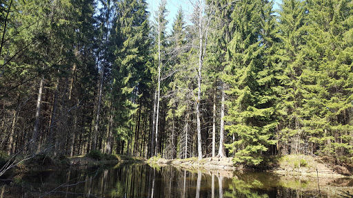 Wassertretbecken - Visual
