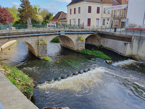 Photo de Camping Municipal de l'Île