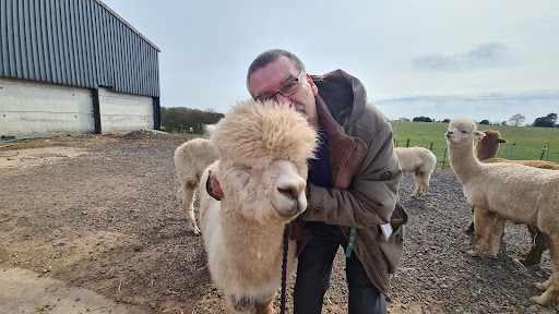 Charnwood Forest Alpacas - Thumbnail