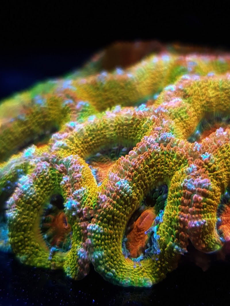 Aqua Inn Ltd photo 2