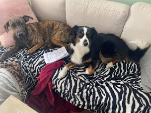 Photo n°2 de Pet Services Paris à Paris (Service de garde d'animaux)