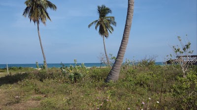 Photos of Kingfisher Beach Resort