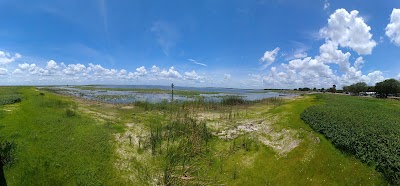 Photos of Kissimmee Swamp Tours