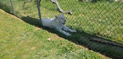 Tiger Preservation Center