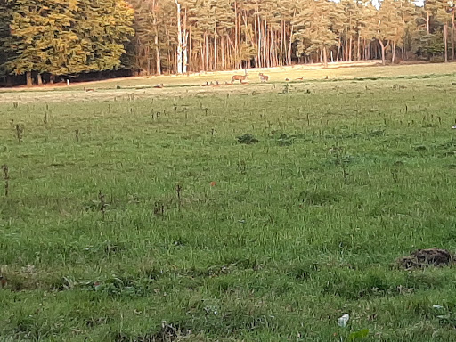't Eultje - Visual