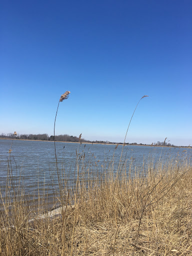Augustine Wildlife Area - Visual