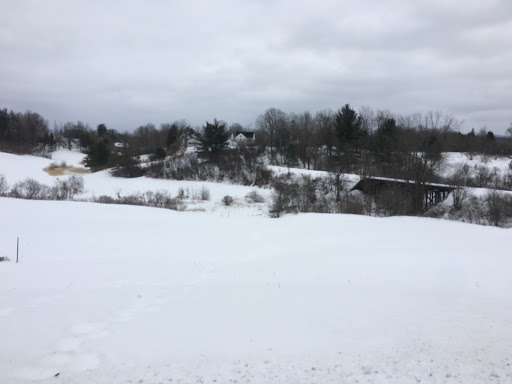 Brownway Residence - Thumbnail
