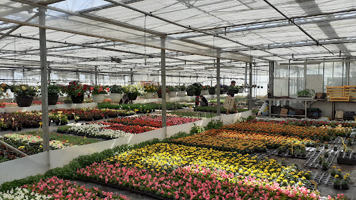 Photo 3 - Jardin de Mottières